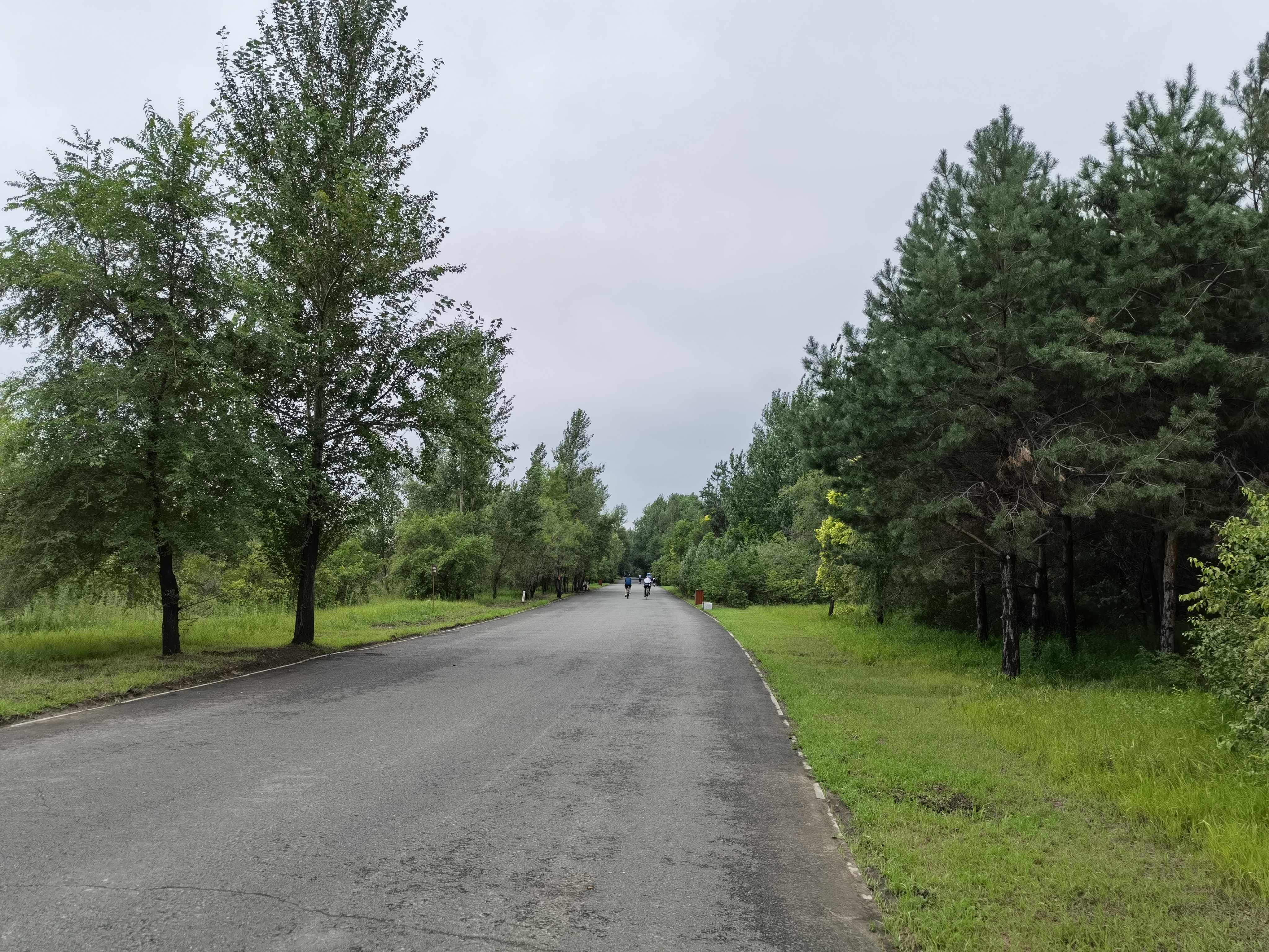 关于社区盾今晚走向成谜，多特蒙德战术微调，话题不断，训练强度明显提升的信息-kaiyun网站